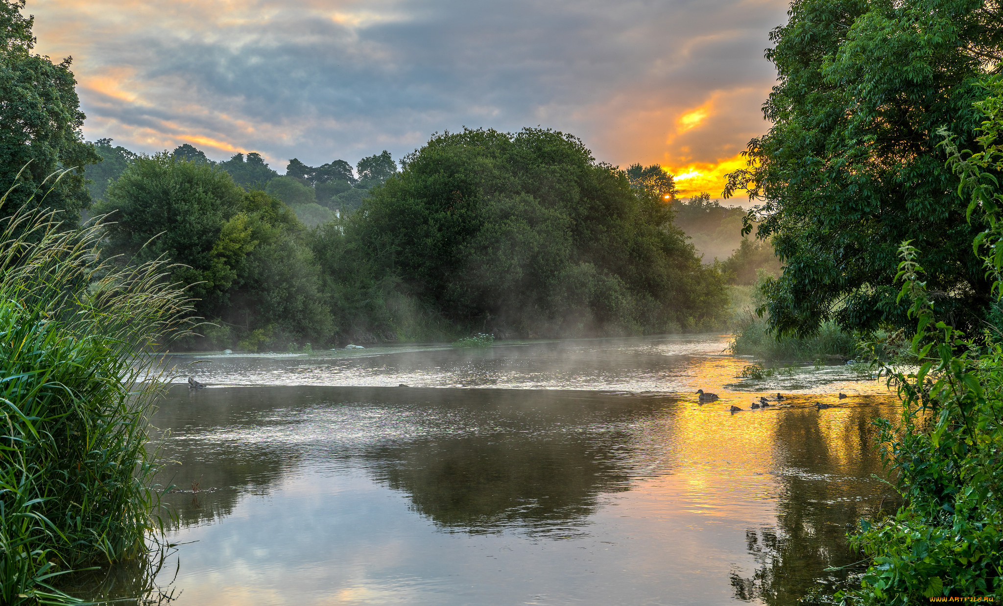 природа, реки, озера, рассвет