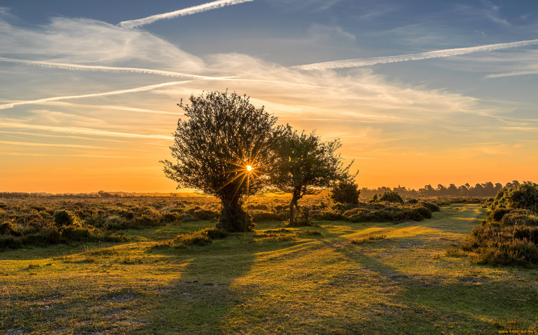природа, пейзажи, рассвет