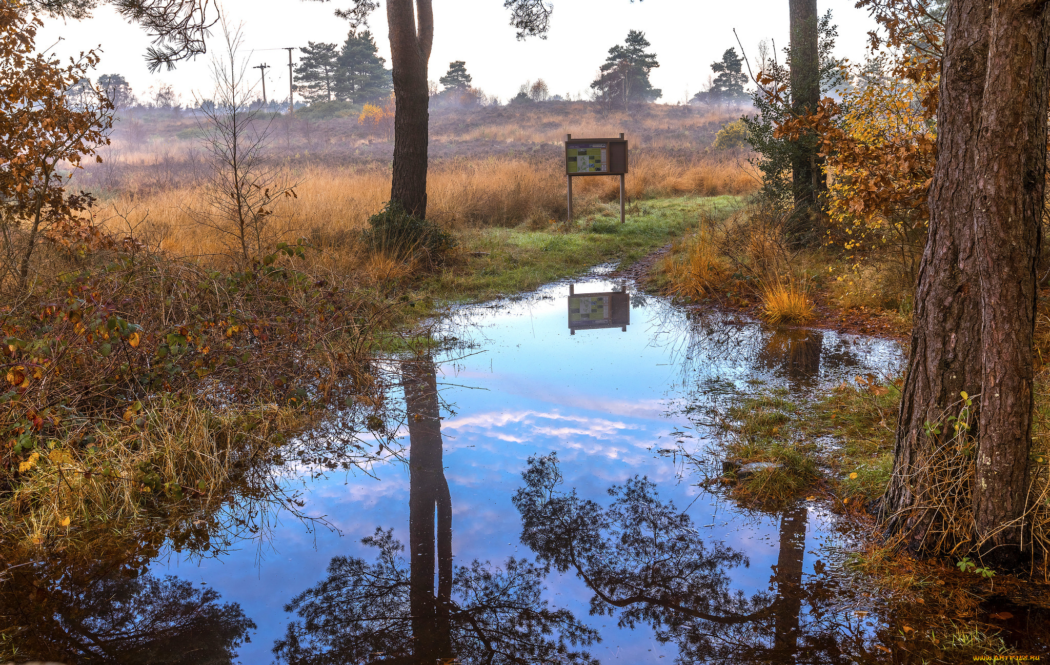 природа, реки, озера, простор