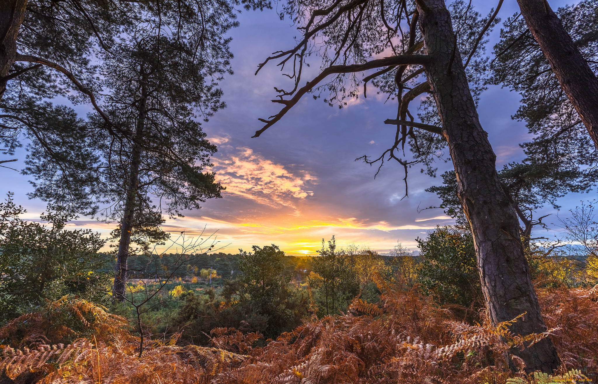 природа, восходы, закаты, простор