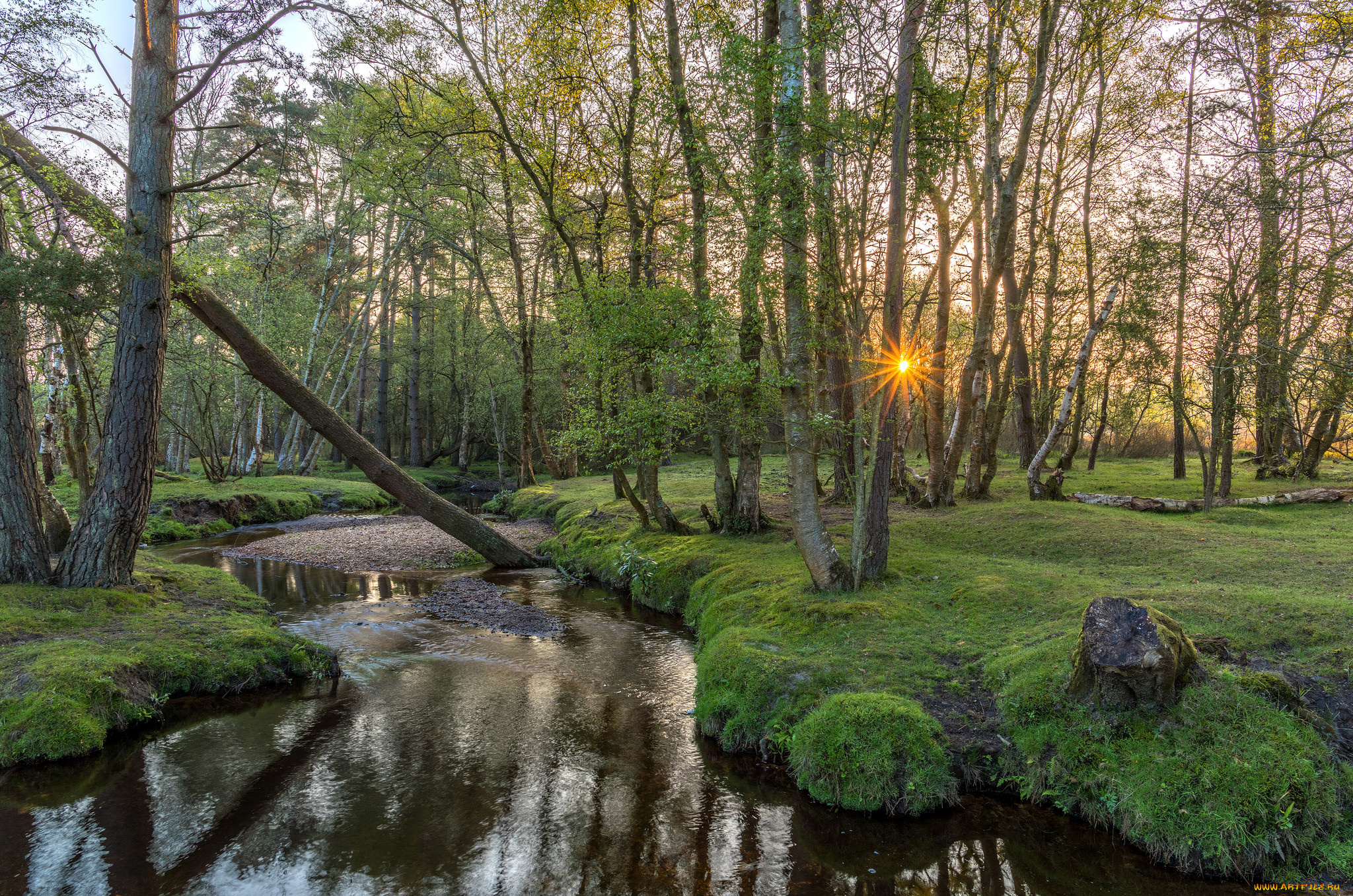 природа, реки, озера, рассвет