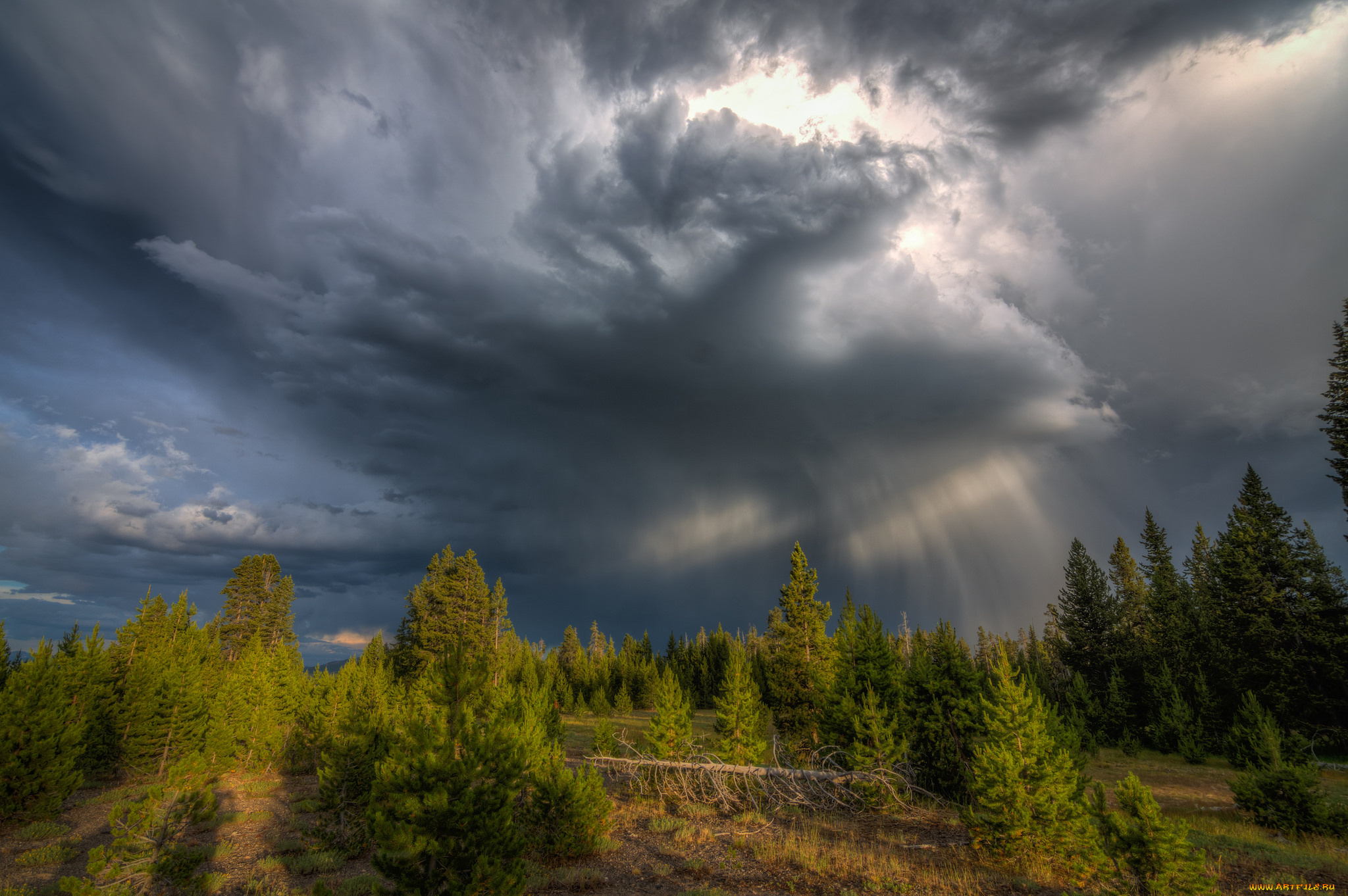 природа, стихия, простор