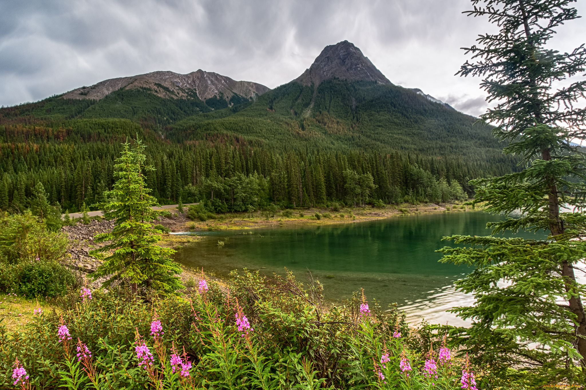 природа, реки, озера, река, лес