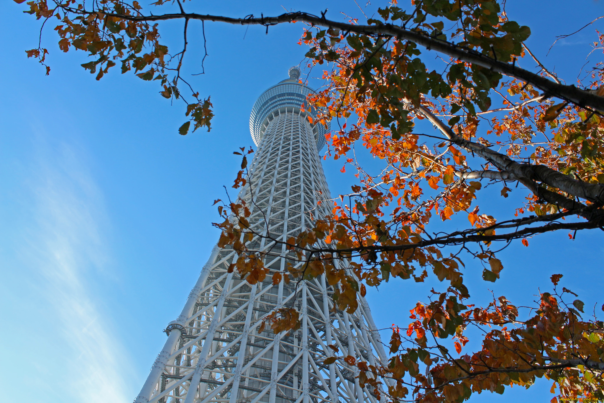 tokyo, города, токио, , Япония, небоскребы, панорама