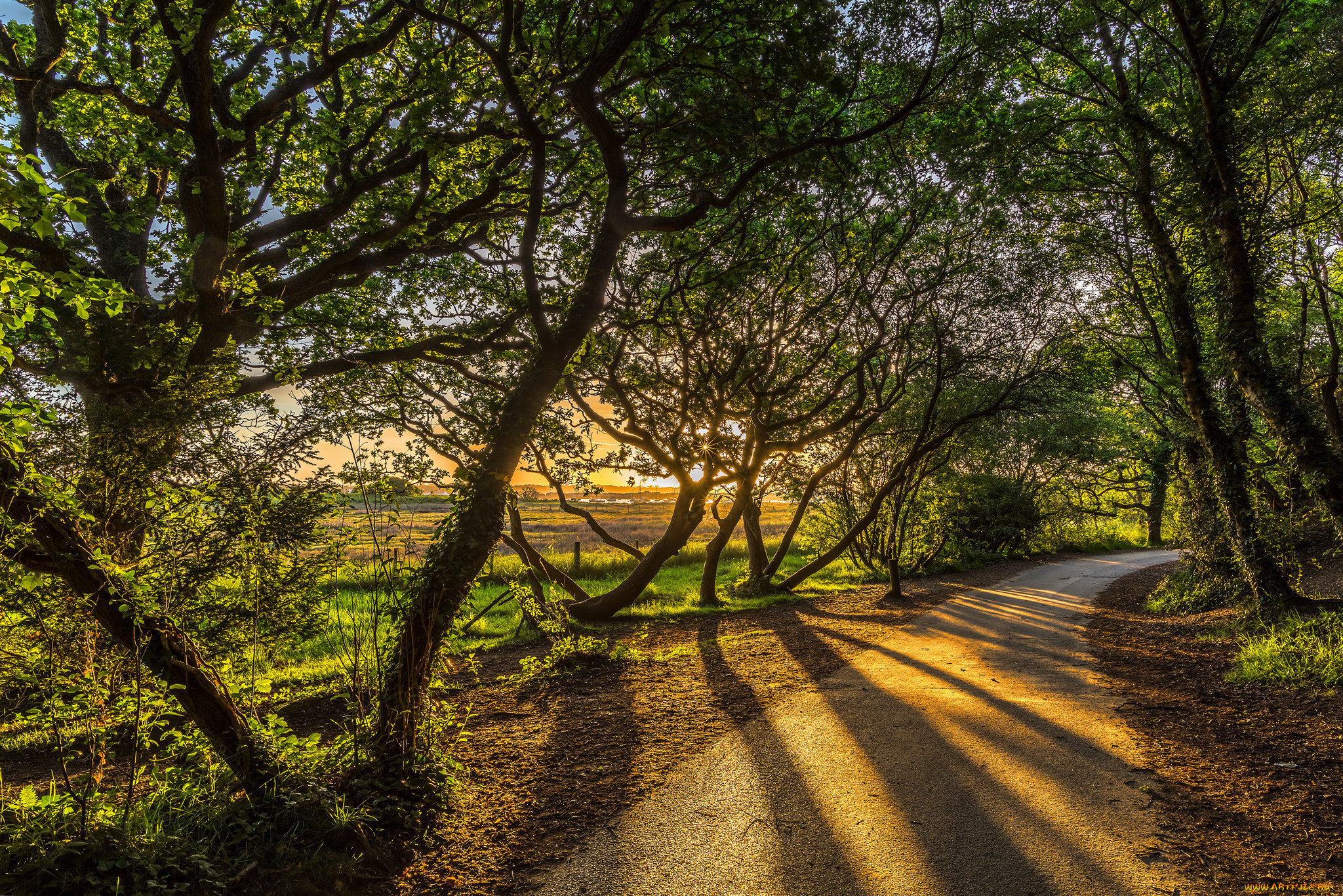 природа, дороги, рассвет