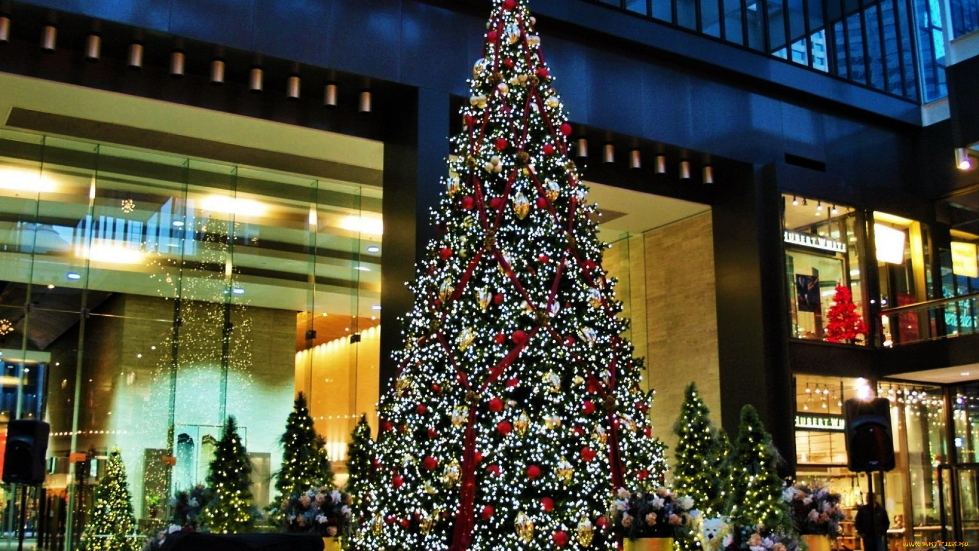 праздничные, Ёлки, елка