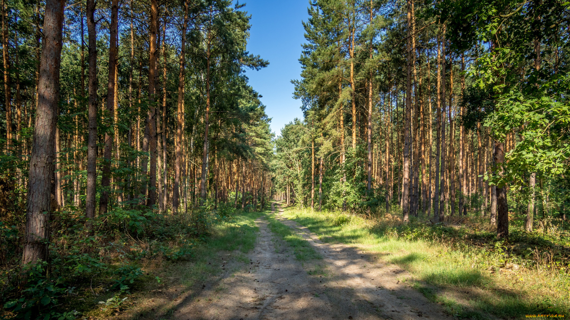 природа, дороги, простор