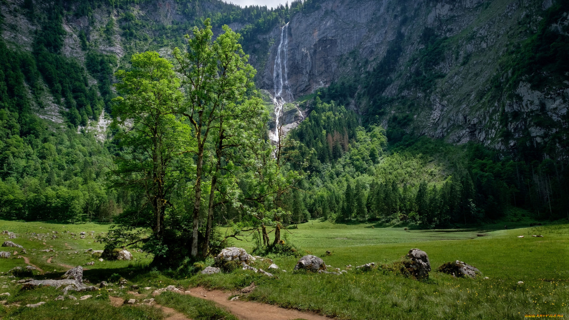 природа, горы, простор