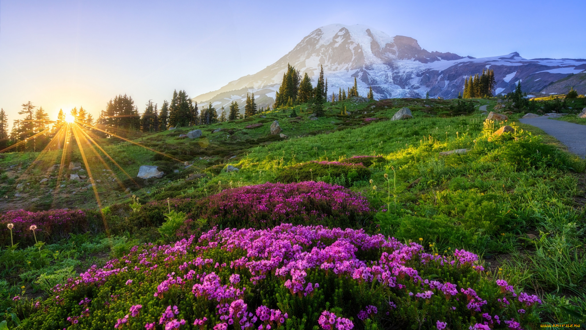 природа, луга, простор