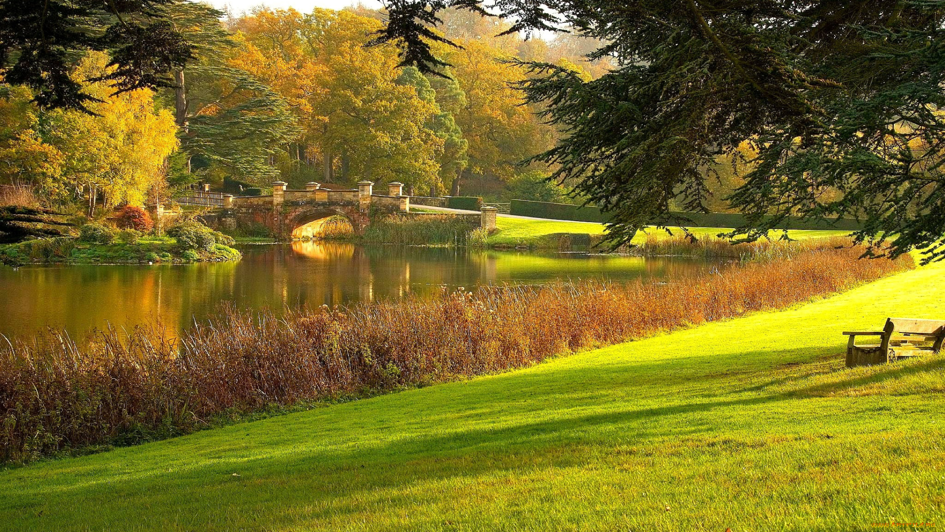 природа, парк, мостик, пруд