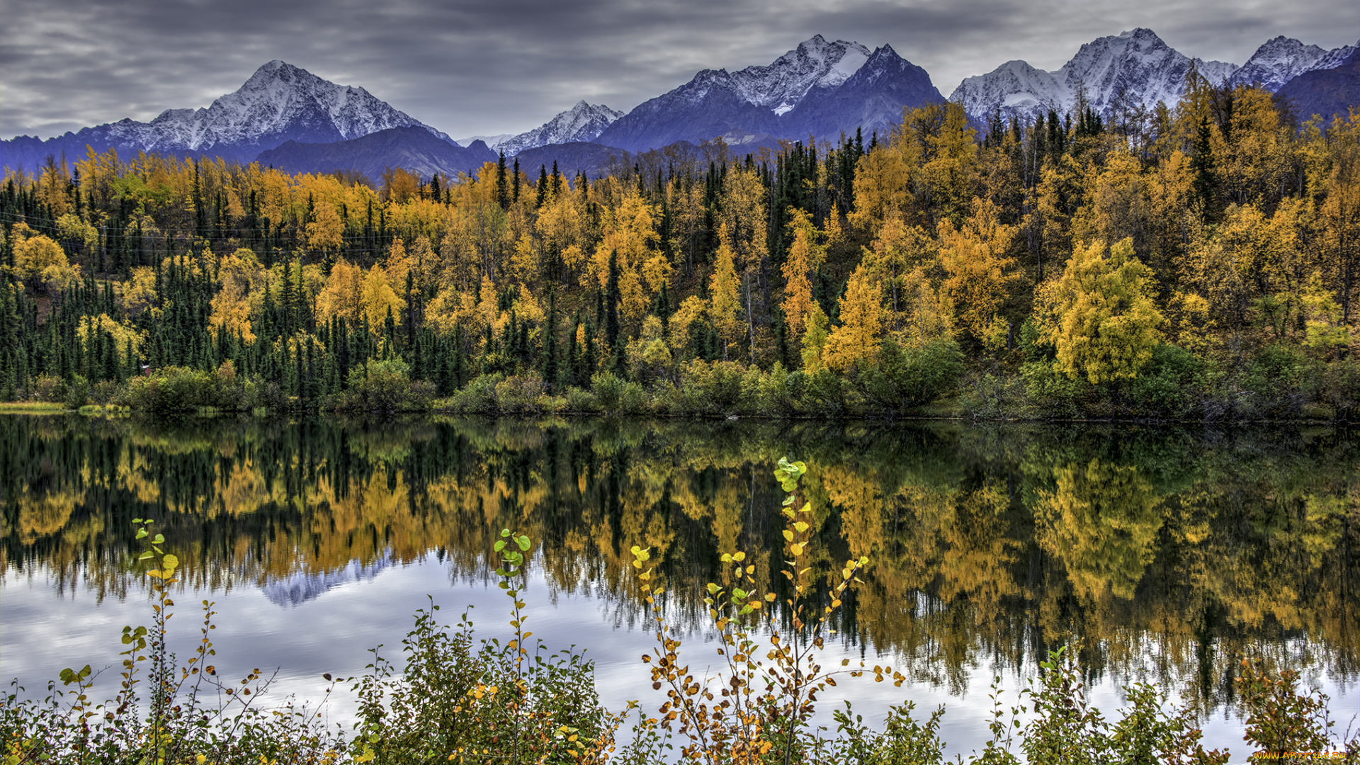 природа, реки, озера, простор