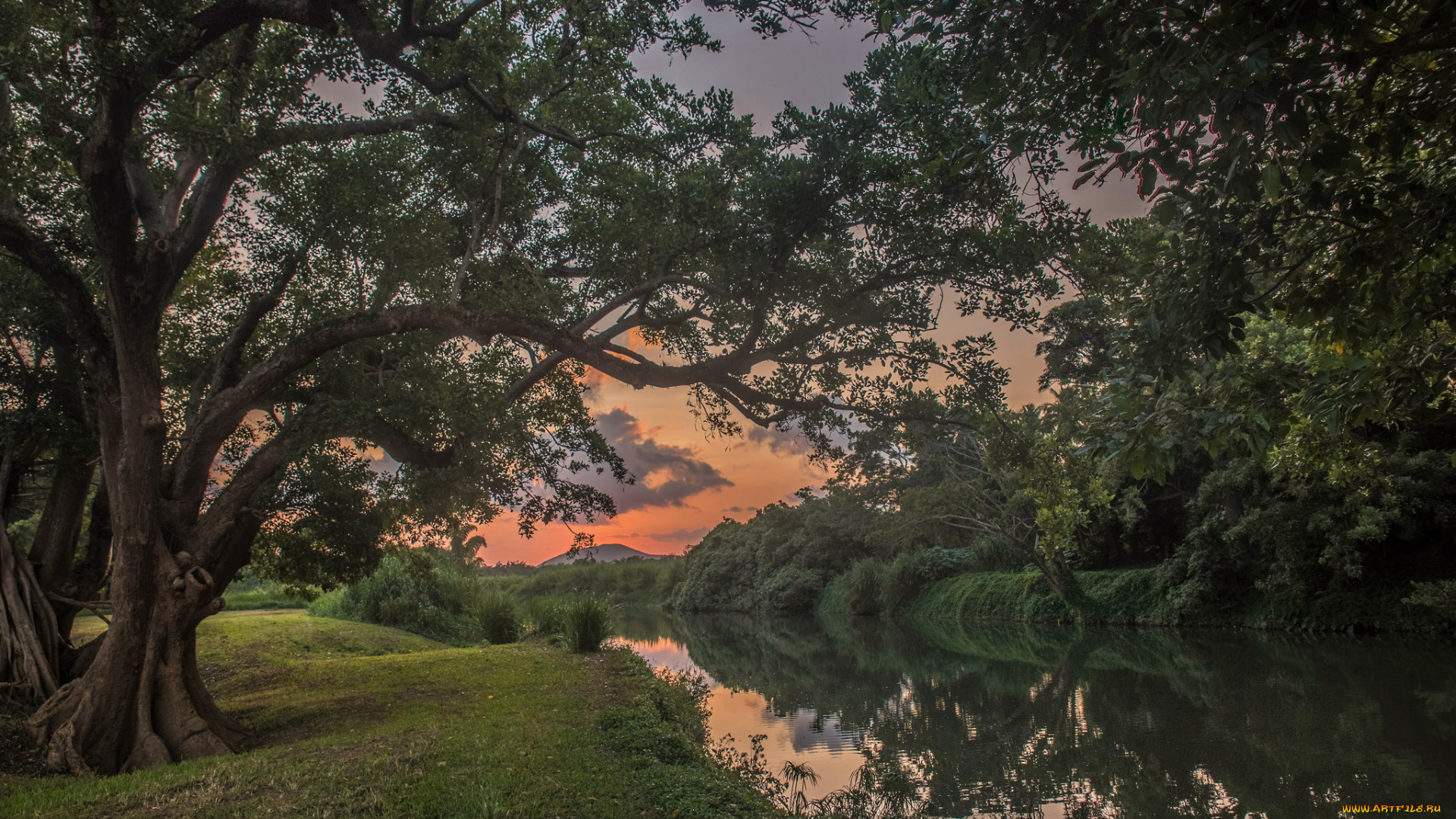 природа, реки, озера, простор