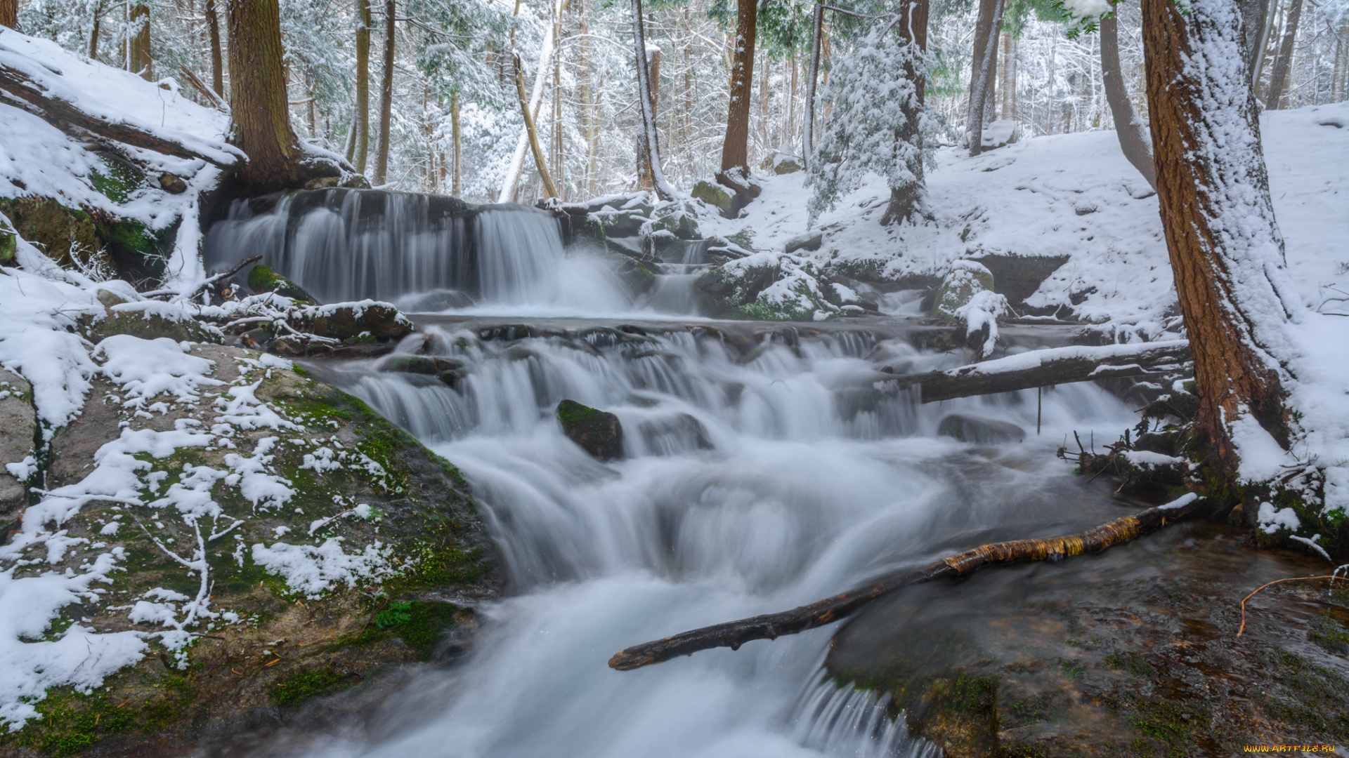природа, реки, озера, простор