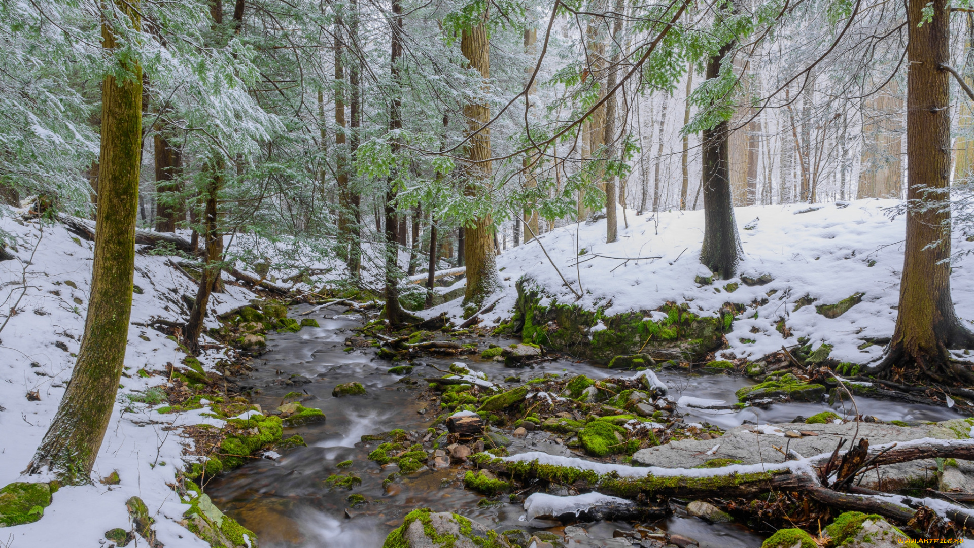 природа, реки, озера, простор