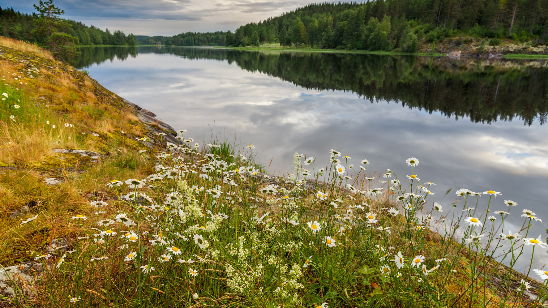 природа, реки, озера, простор
