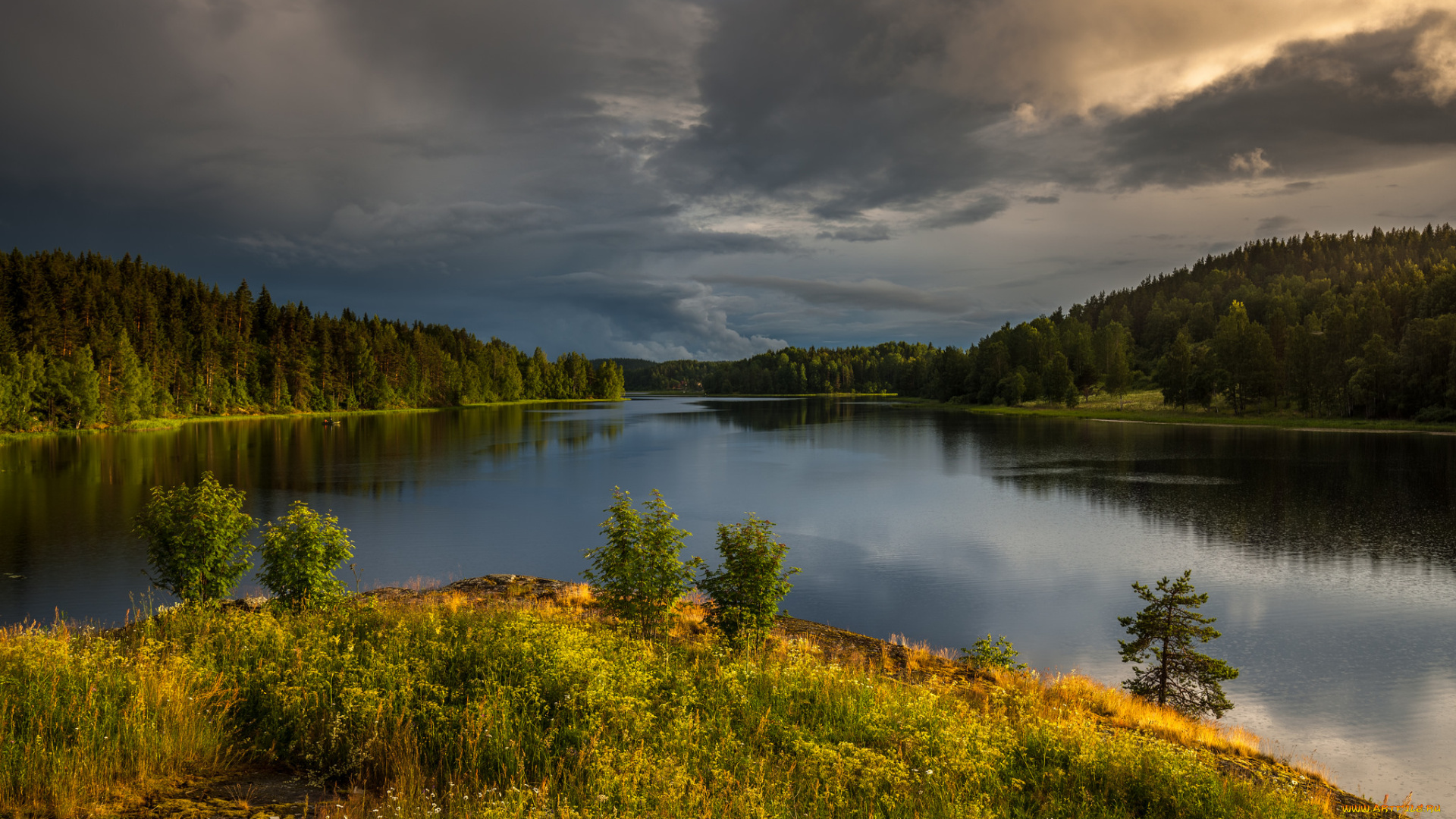 природа, реки, озера, простор