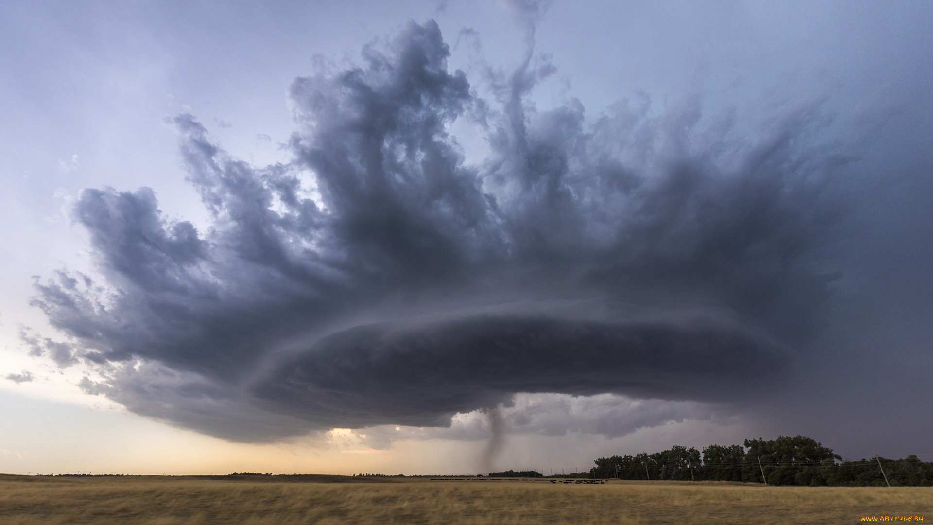 природа, стихия, простор