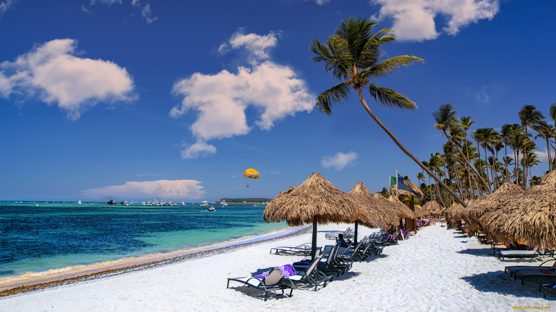 природа, тропики, простор