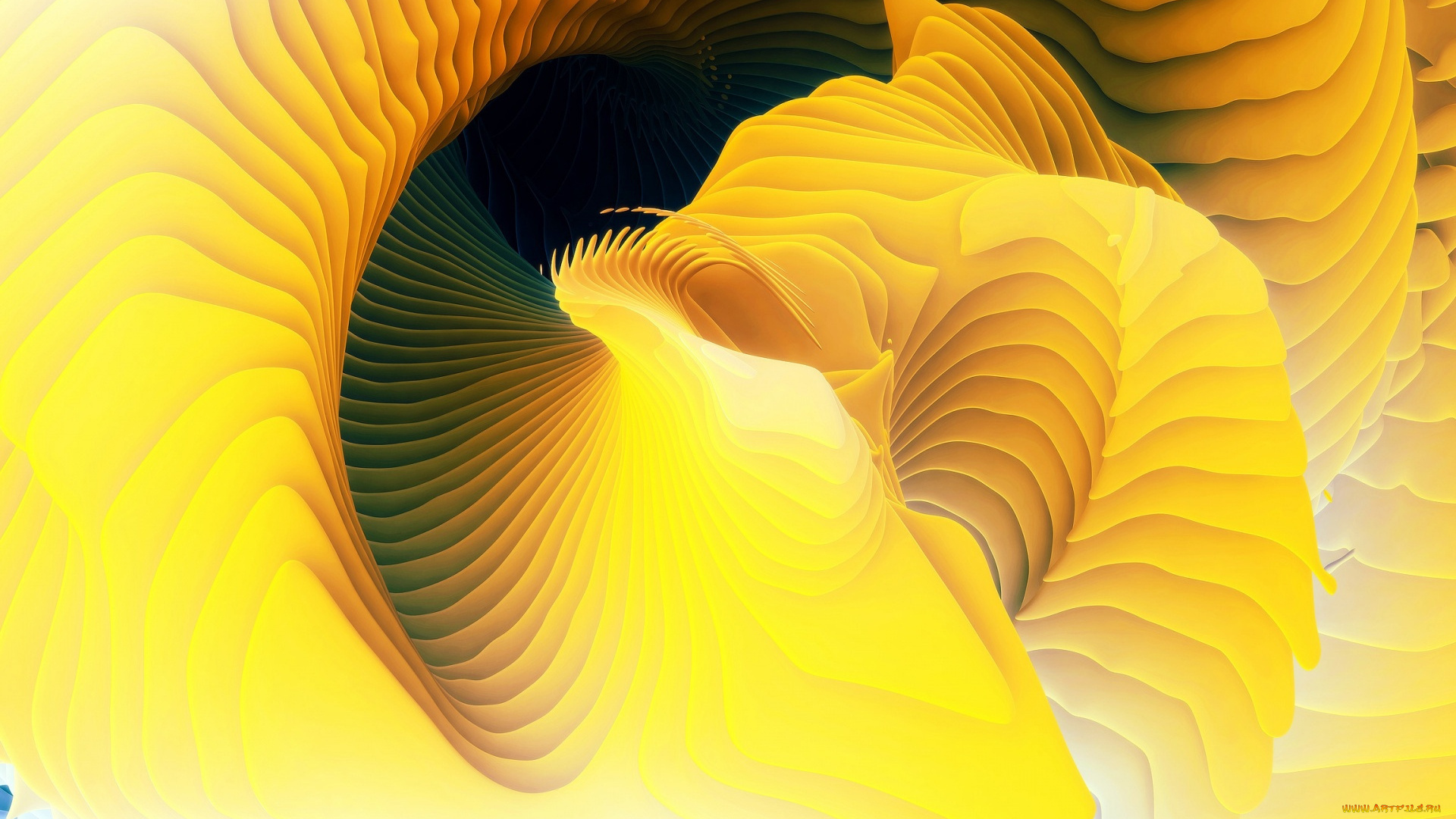 векторная, графика, графика, , graphics, цвет, фон, узор