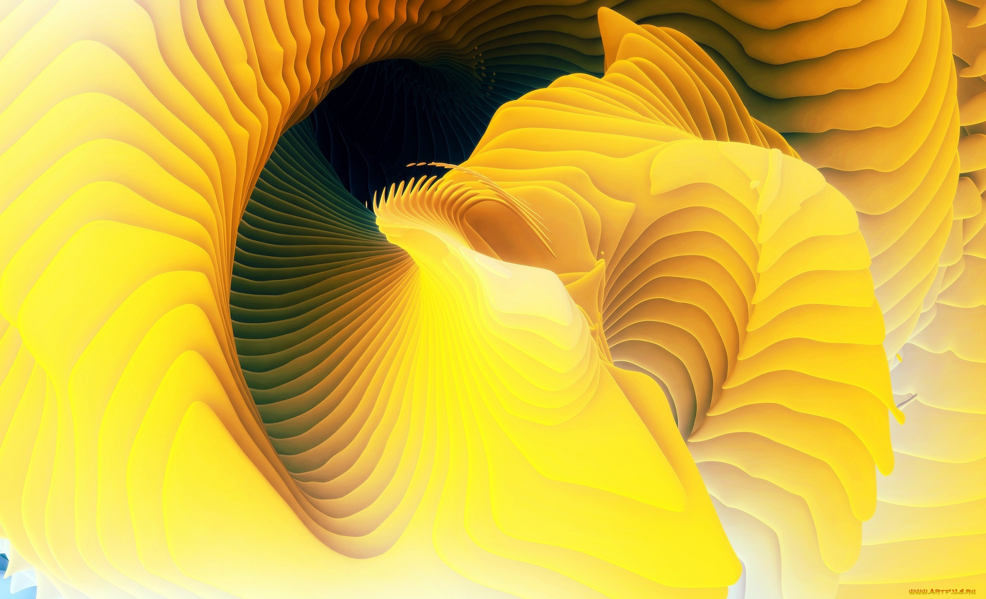 векторная, графика, графика, , graphics, цвет, фон, узор