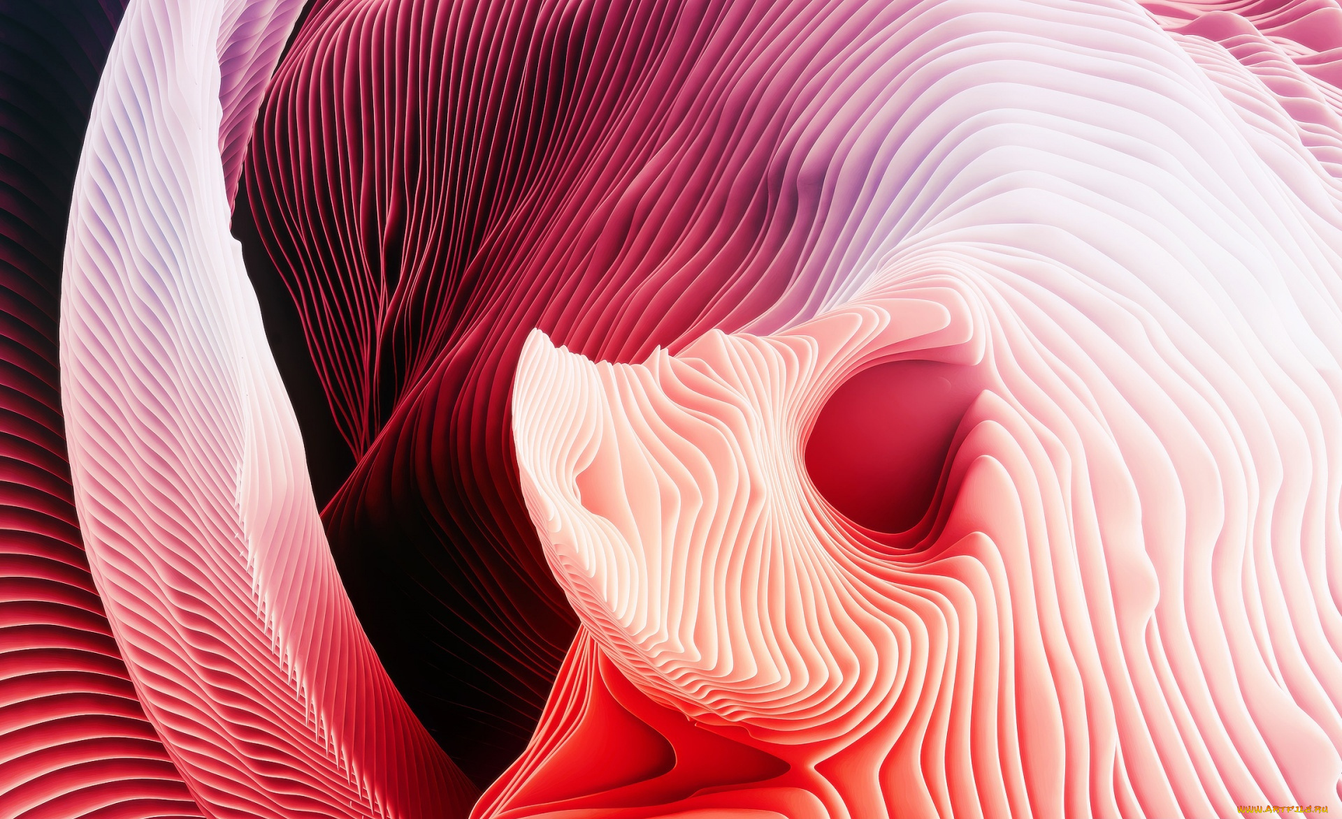 векторная, графика, графика, , graphics, объем, краски, узор, линии