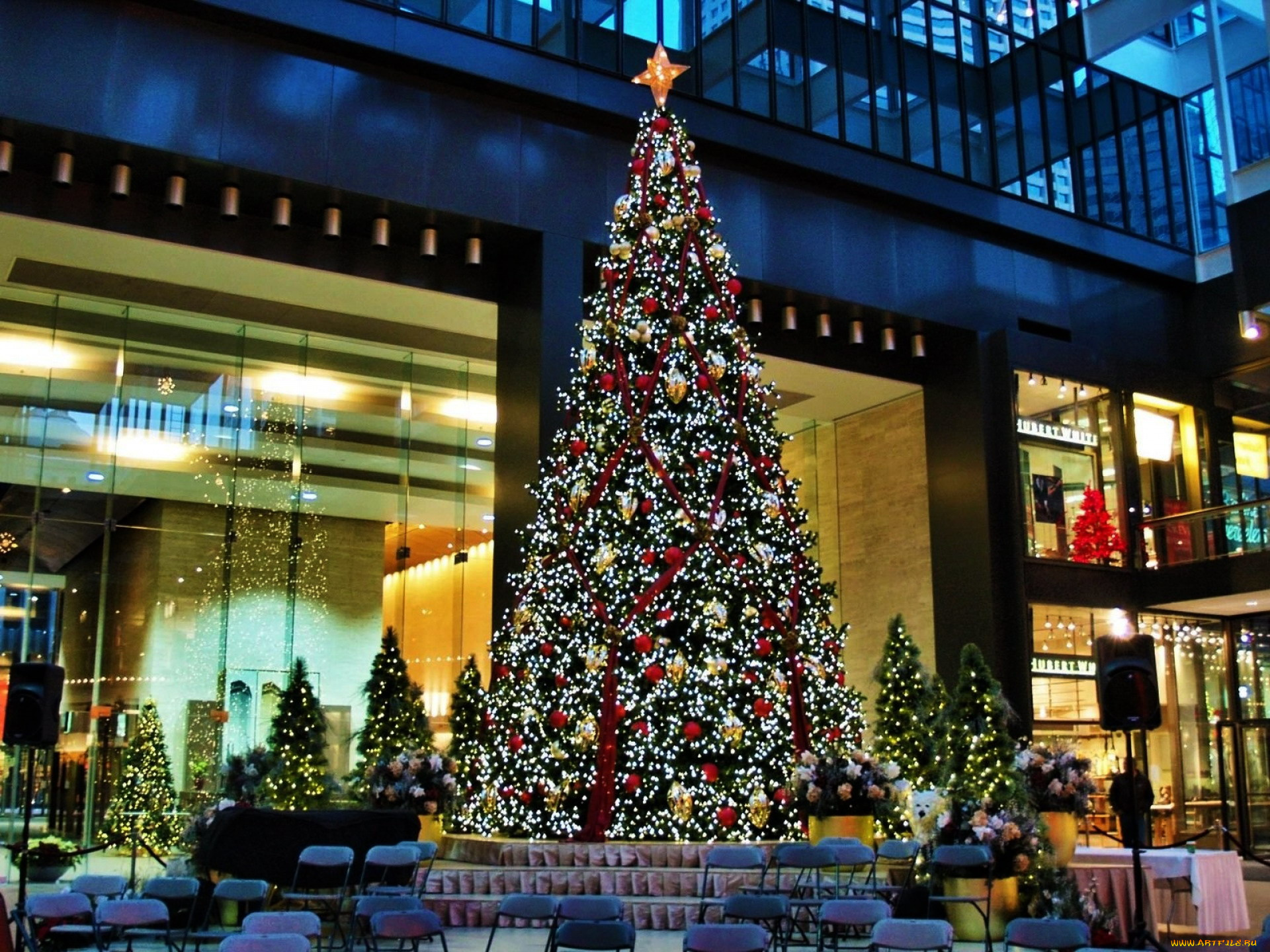 праздничные, Ёлки, елка