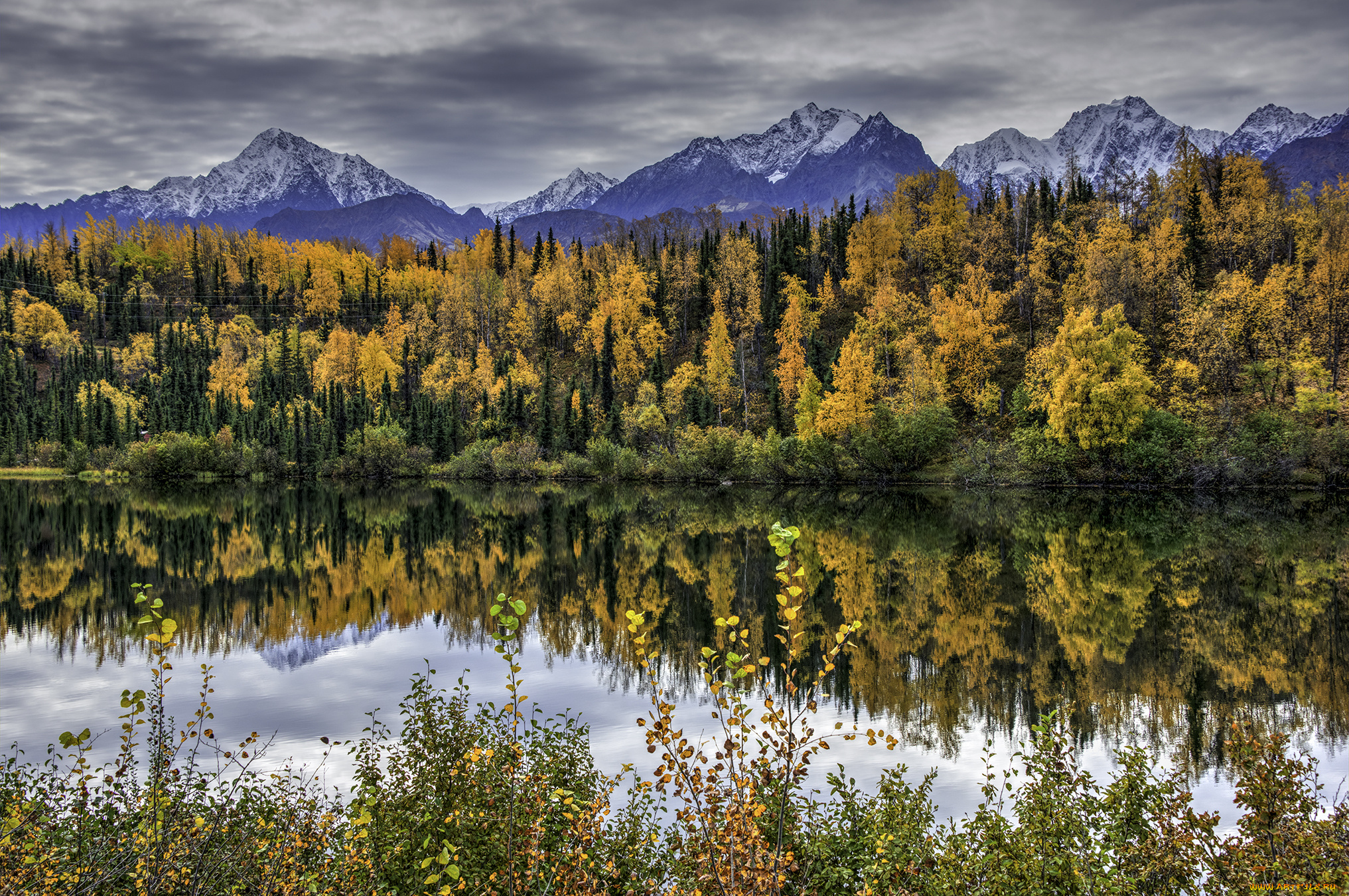 природа, реки, озера, простор