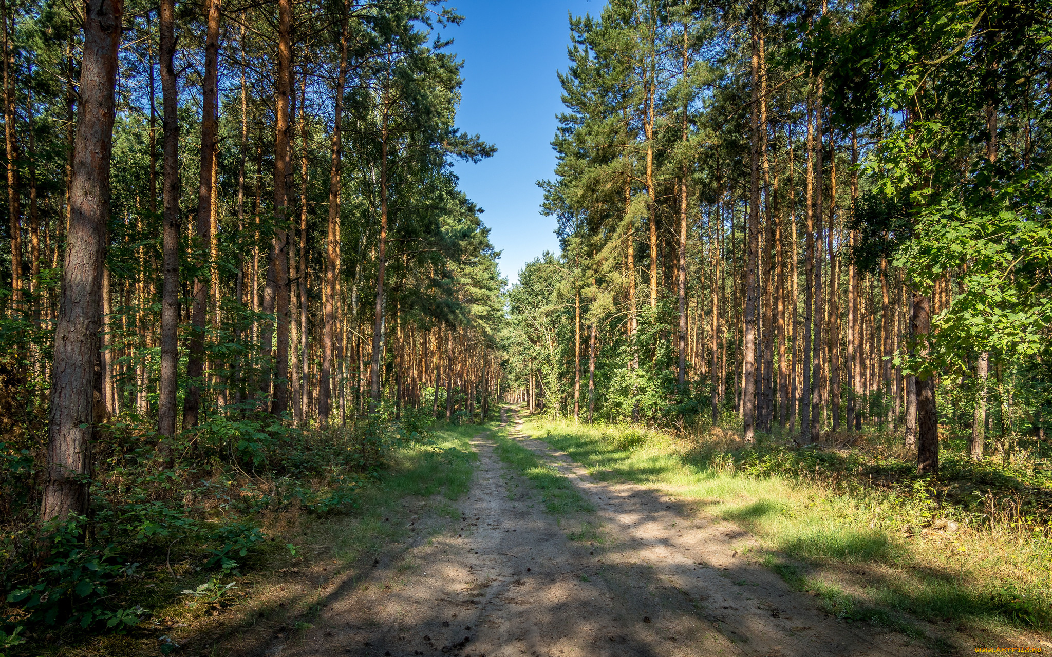 природа, дороги, простор