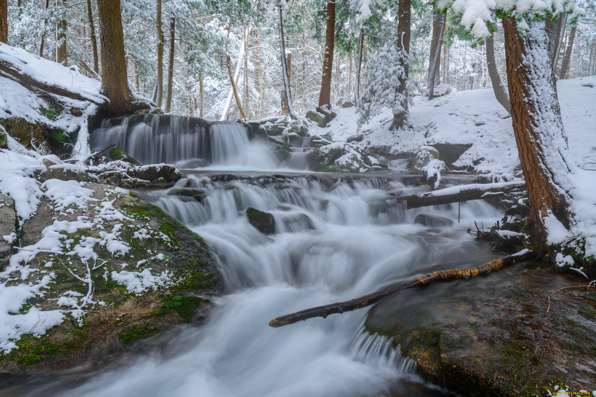 природа, реки, озера, простор