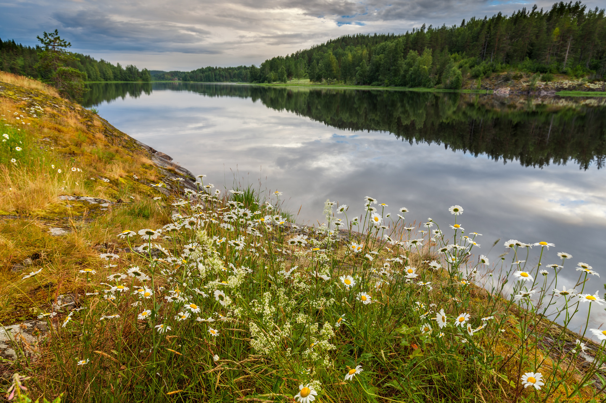 природа, реки, озера, простор