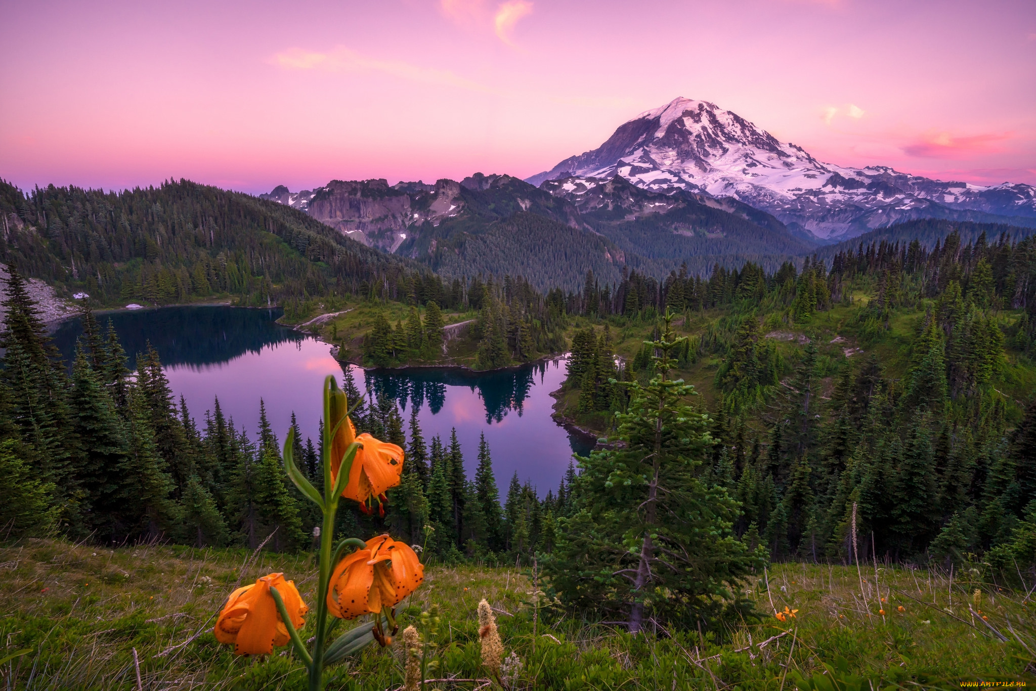 природа, пейзажи, простор