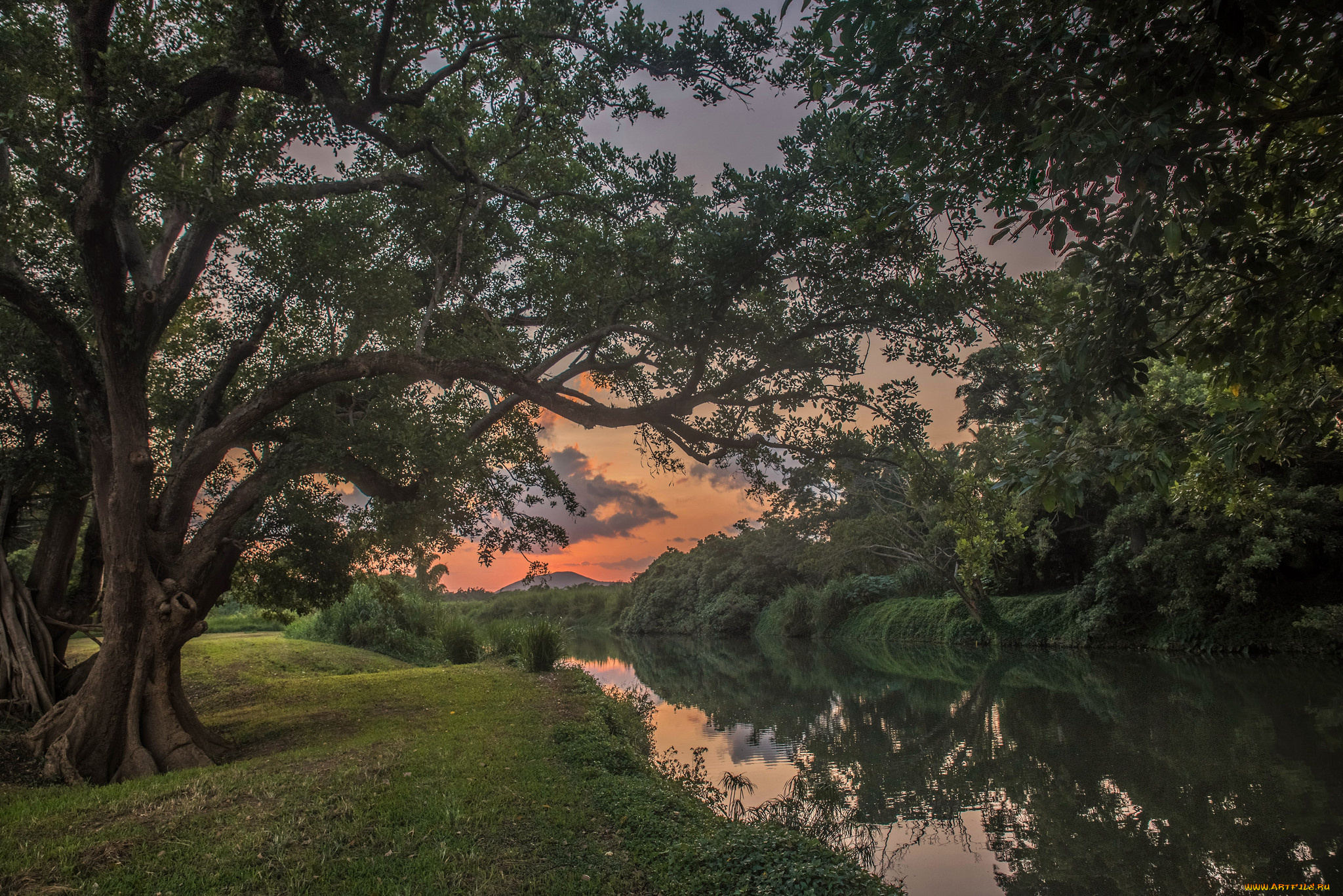 природа, реки, озера, простор