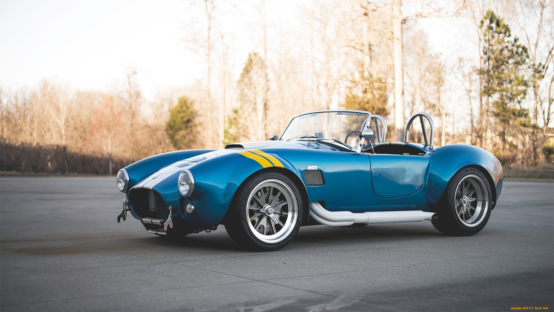 автомобили, ac, cobra, shelby, cobra