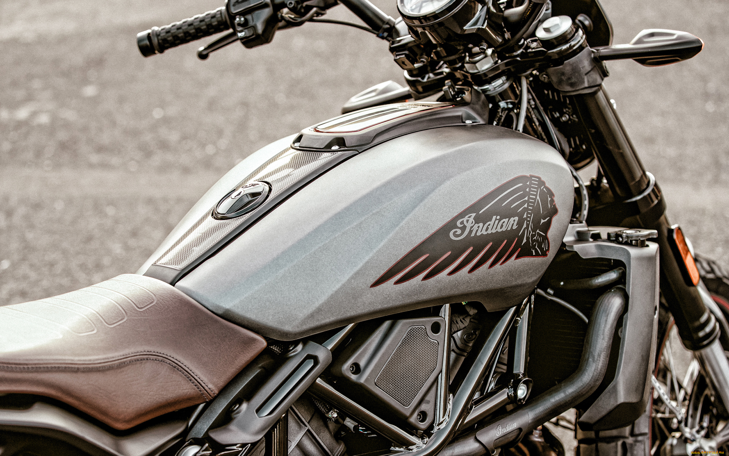 2020, indian, ftr, rally, мотоциклы, indian, 2020, экстерьер, мотоцикл, новый, серый, ftr, rally, американские