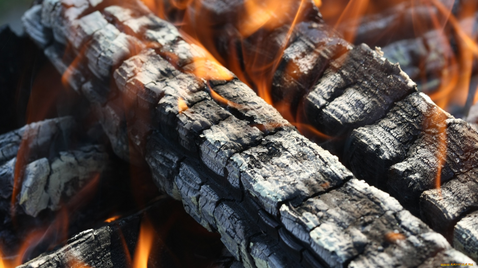 природа, огонь, дрова, угли, костер