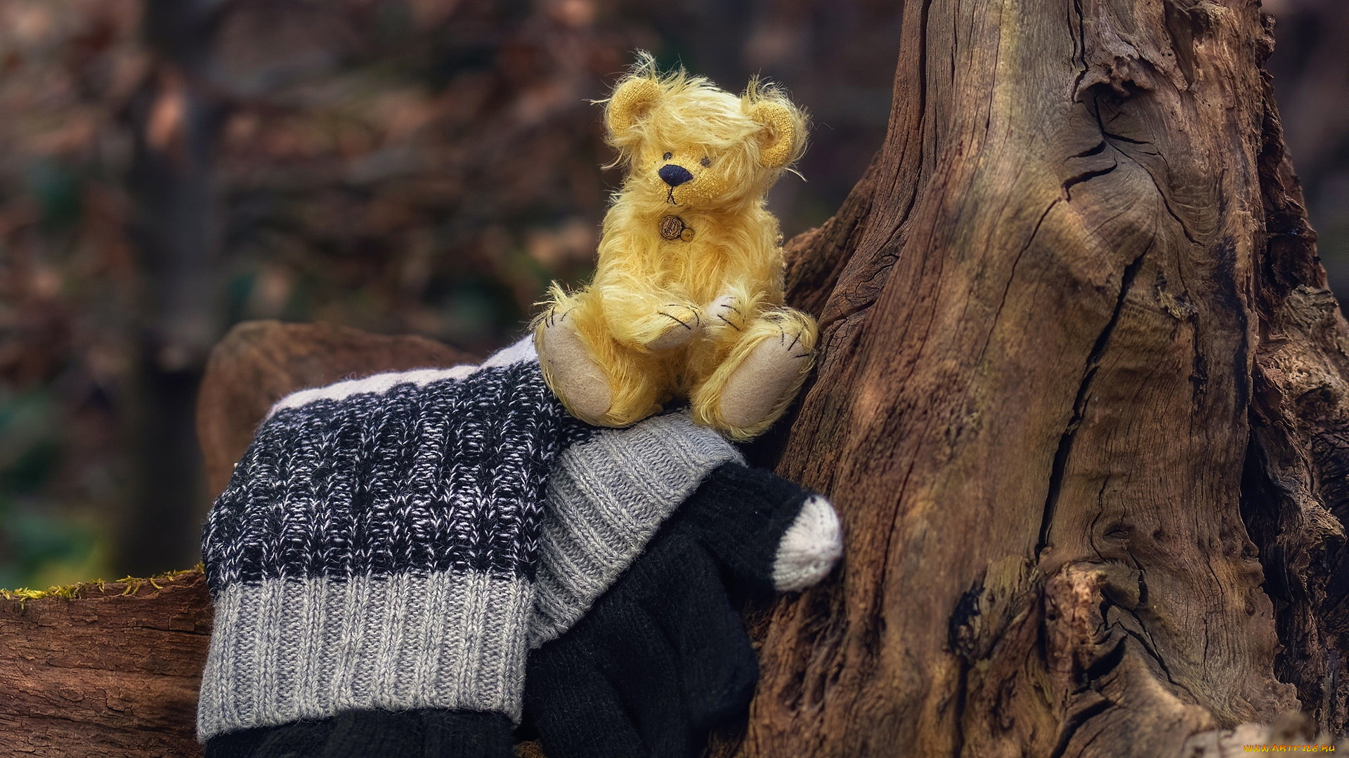 разное, игрушки, ствол, дерево, перчатка, медвежонок, игрушка