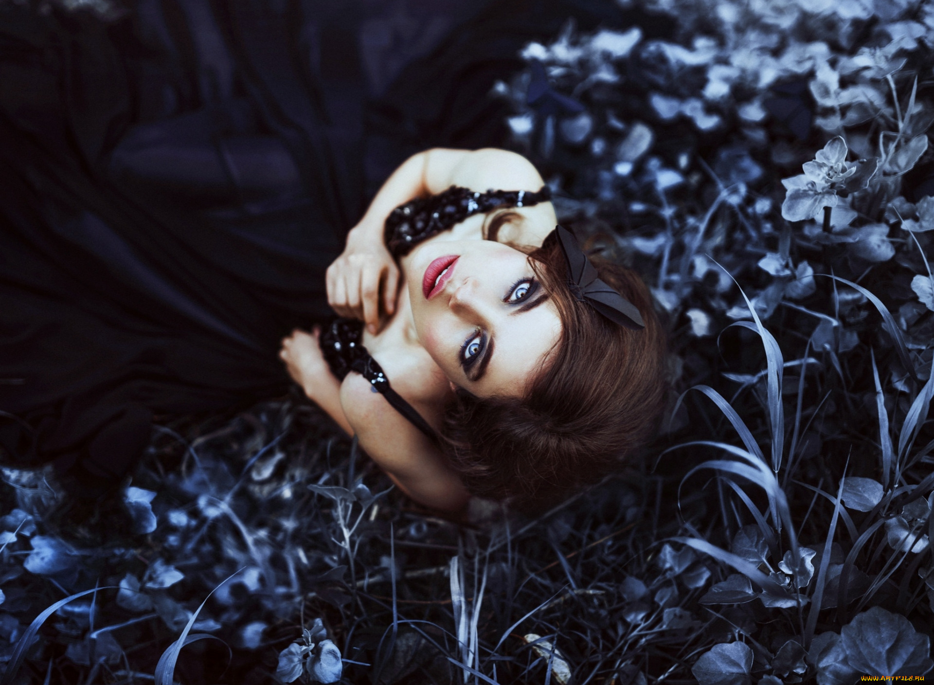 девушки, -, брюнетки, , шатенки, брюнетка, взгляд