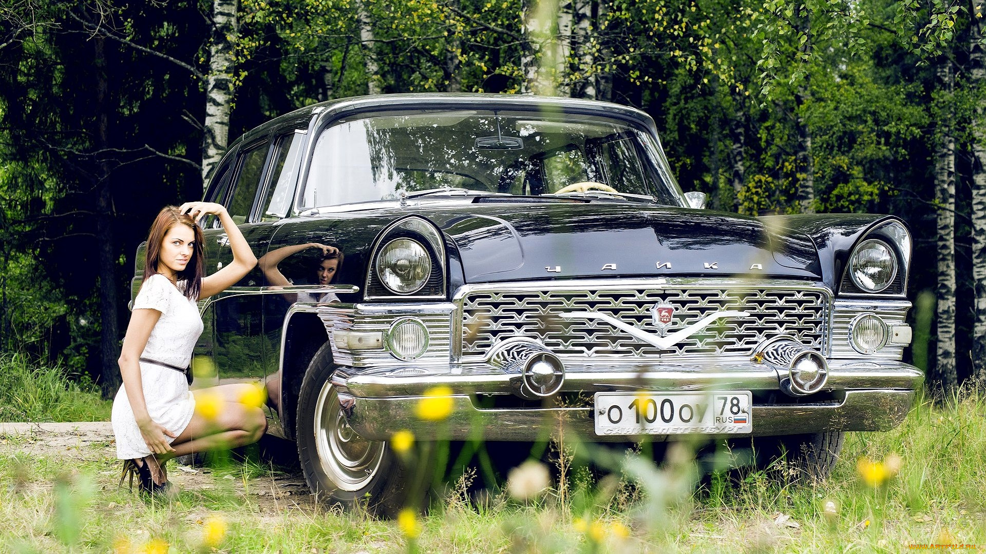 автомобили, -авто, с, девушками, машина, чайка, трава, девушка, шатенка, платье, каблуки, лес