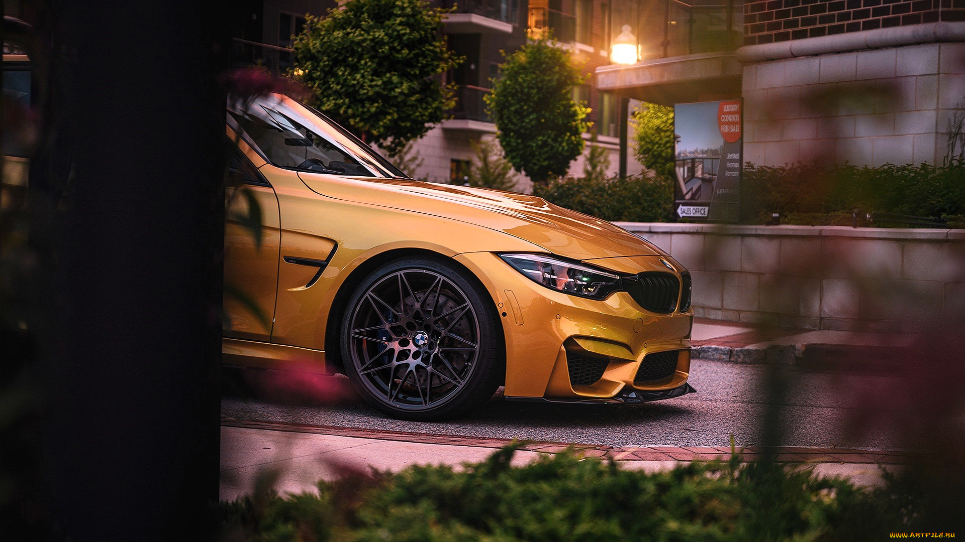 bmw, m4, автомобили, bmw, желтый, дом, фонарь, деревья