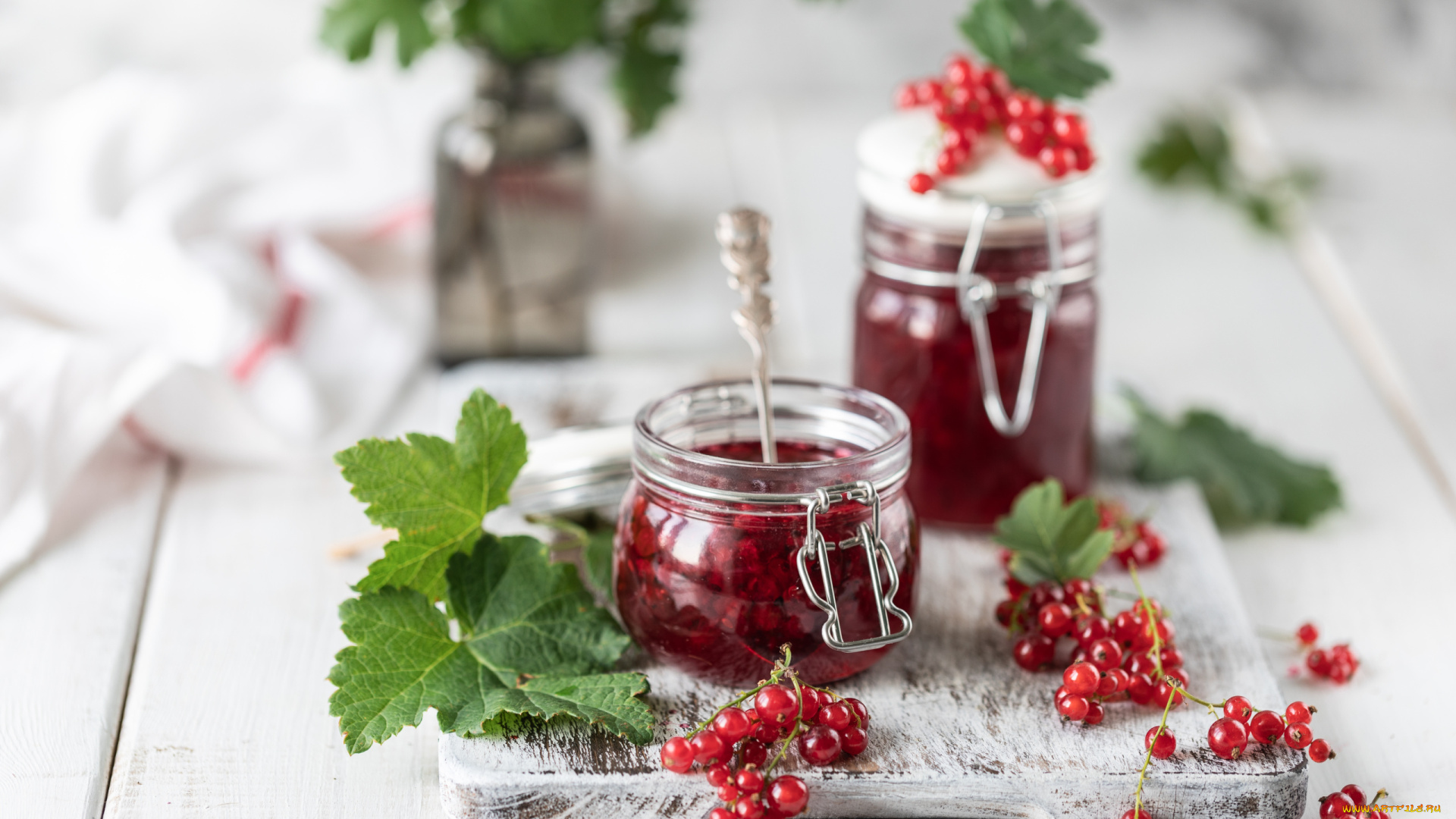 еда, мёд, , варенье, , повидло, , джем, листья, варенье, смородина, красная, ягоды