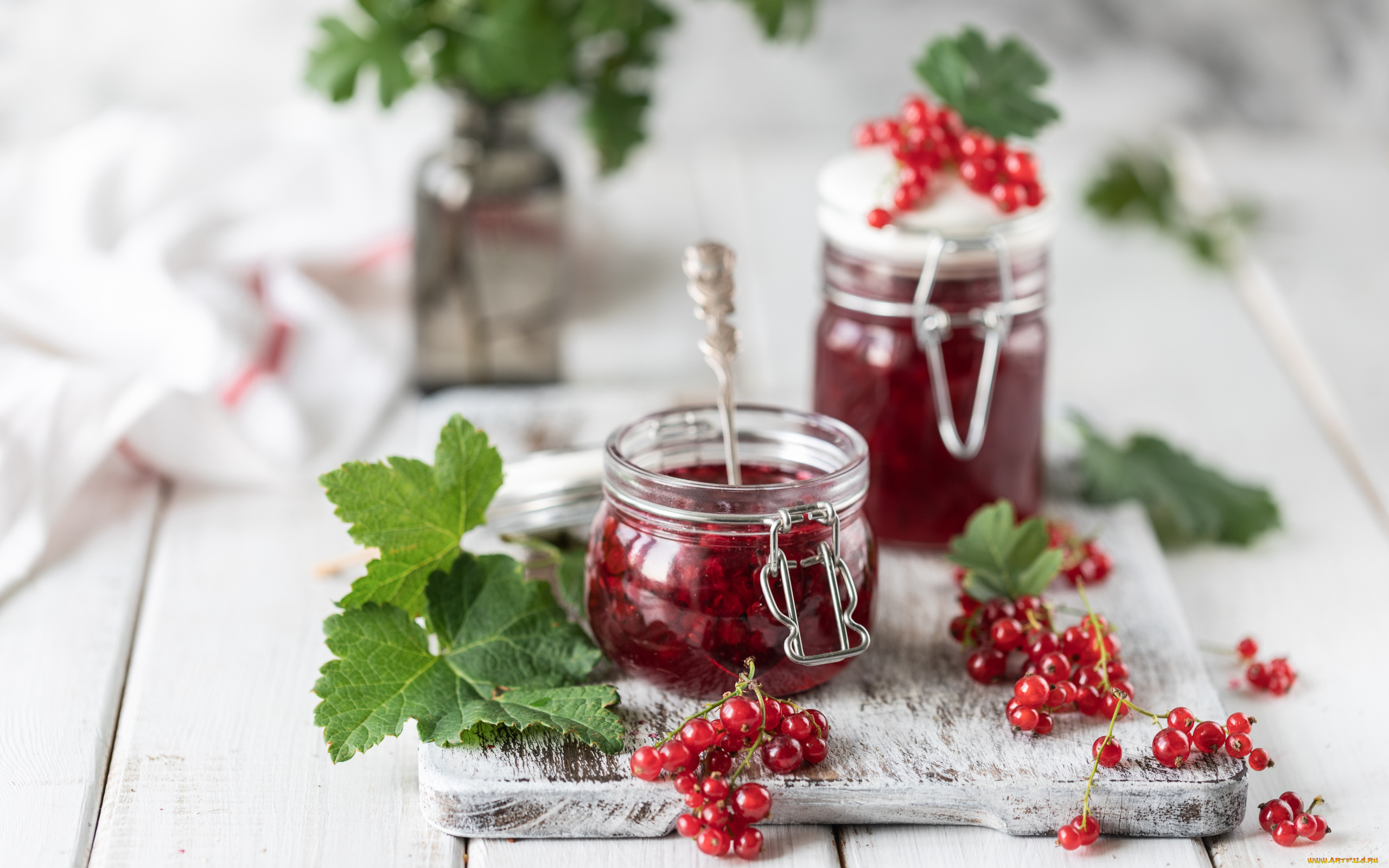 еда, мёд, , варенье, , повидло, , джем, листья, варенье, смородина, красная, ягоды