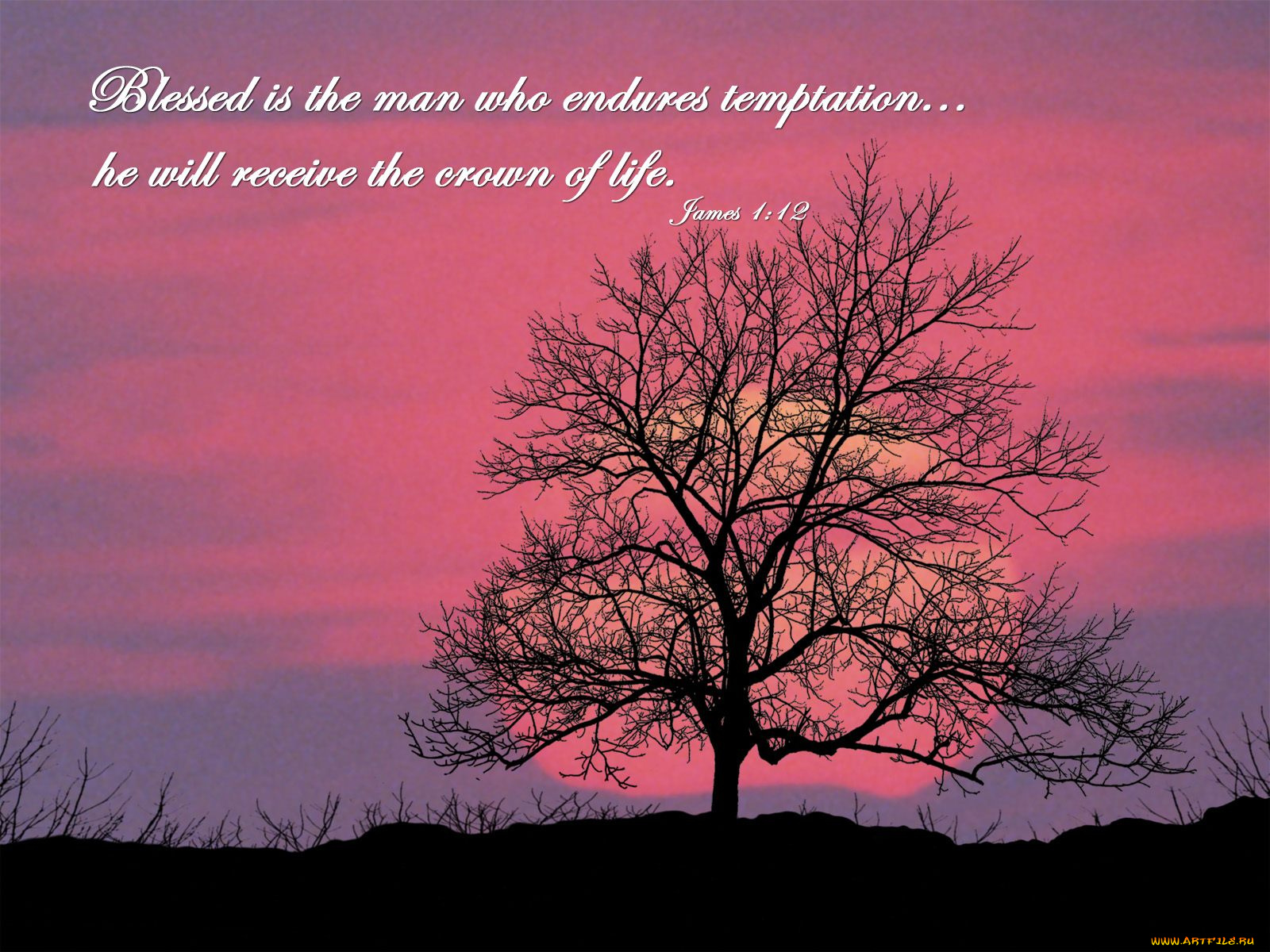 разное, религия