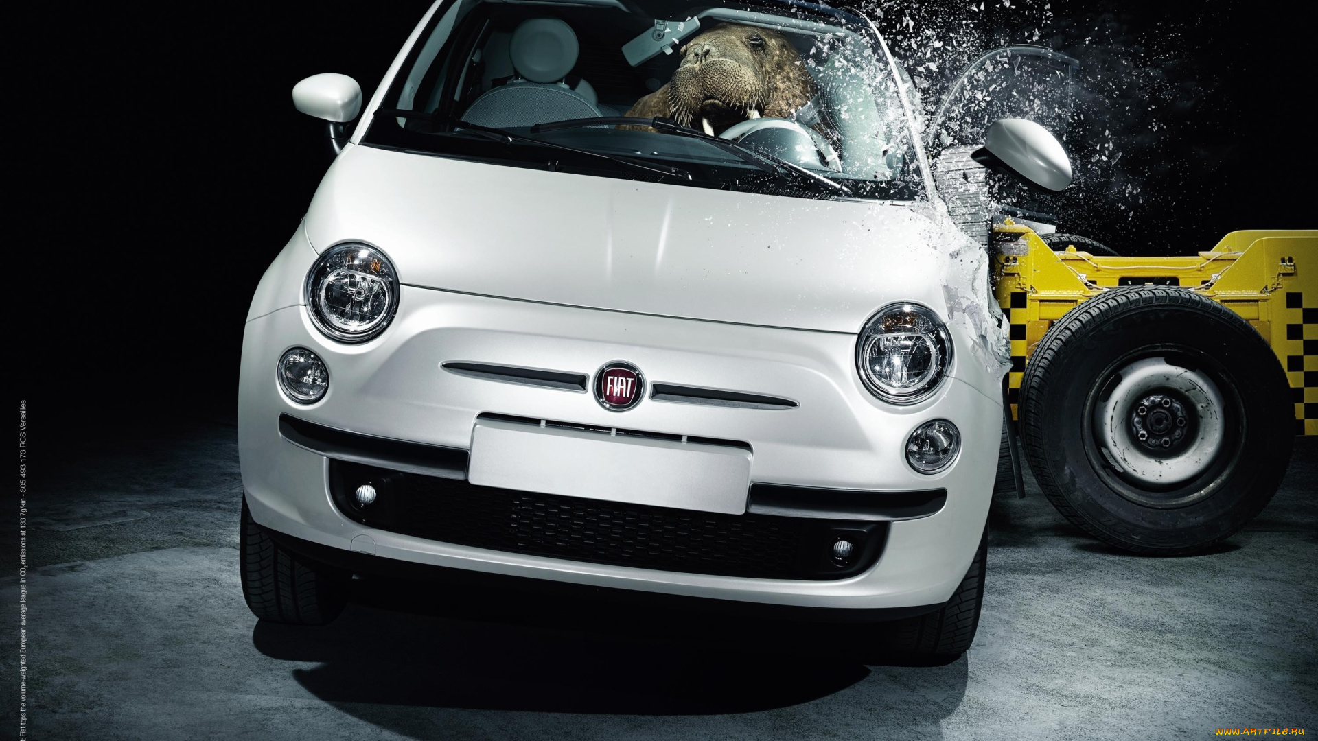 бренды, авто, мото, unknown, автомобиль, подушка, безопасности, удар, морж