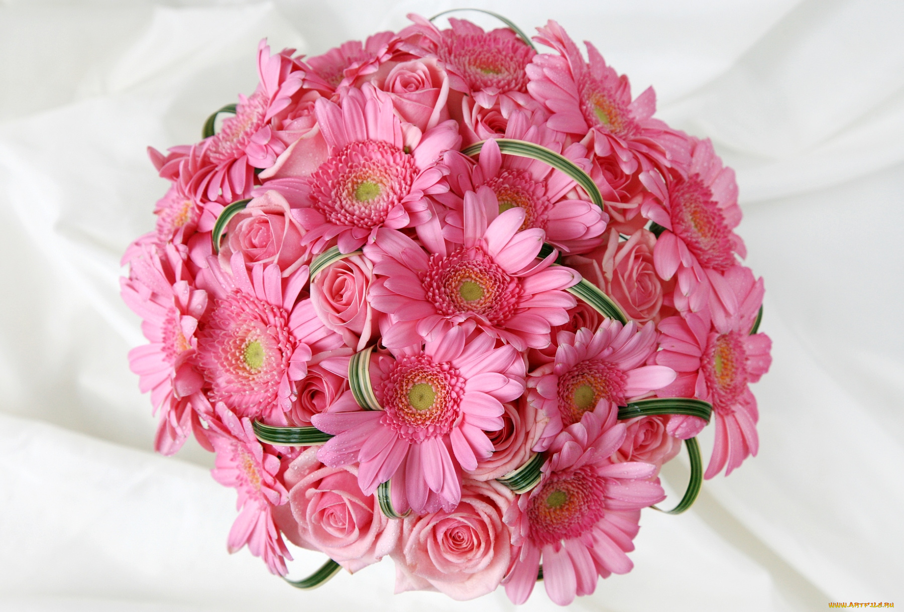 цветы, букеты, композиции, розовый, розы, герберы