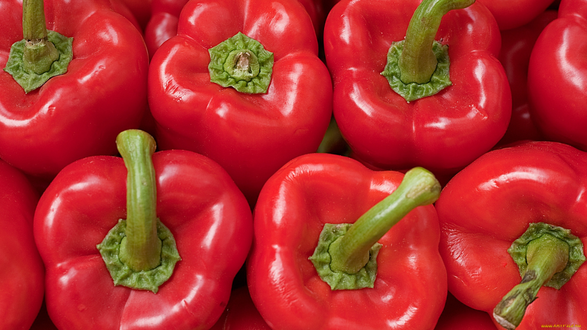 еда, перец, красный