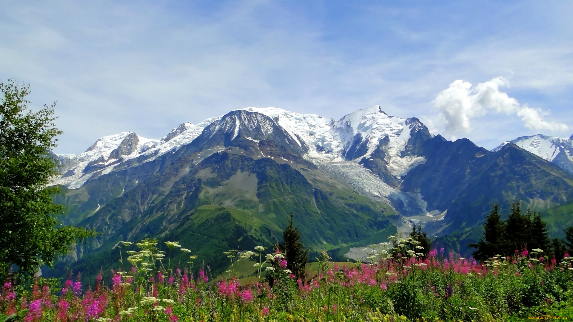 природа, горы, цветы, вершины, луг, травы