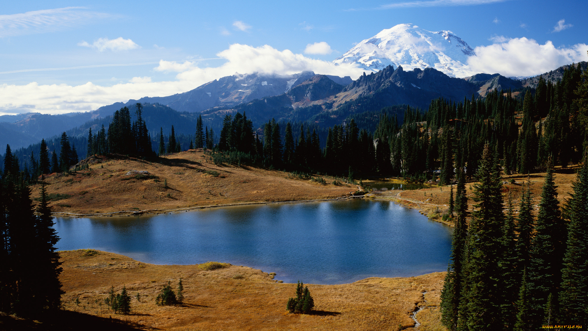 природа, реки, озера, лес, река, горы