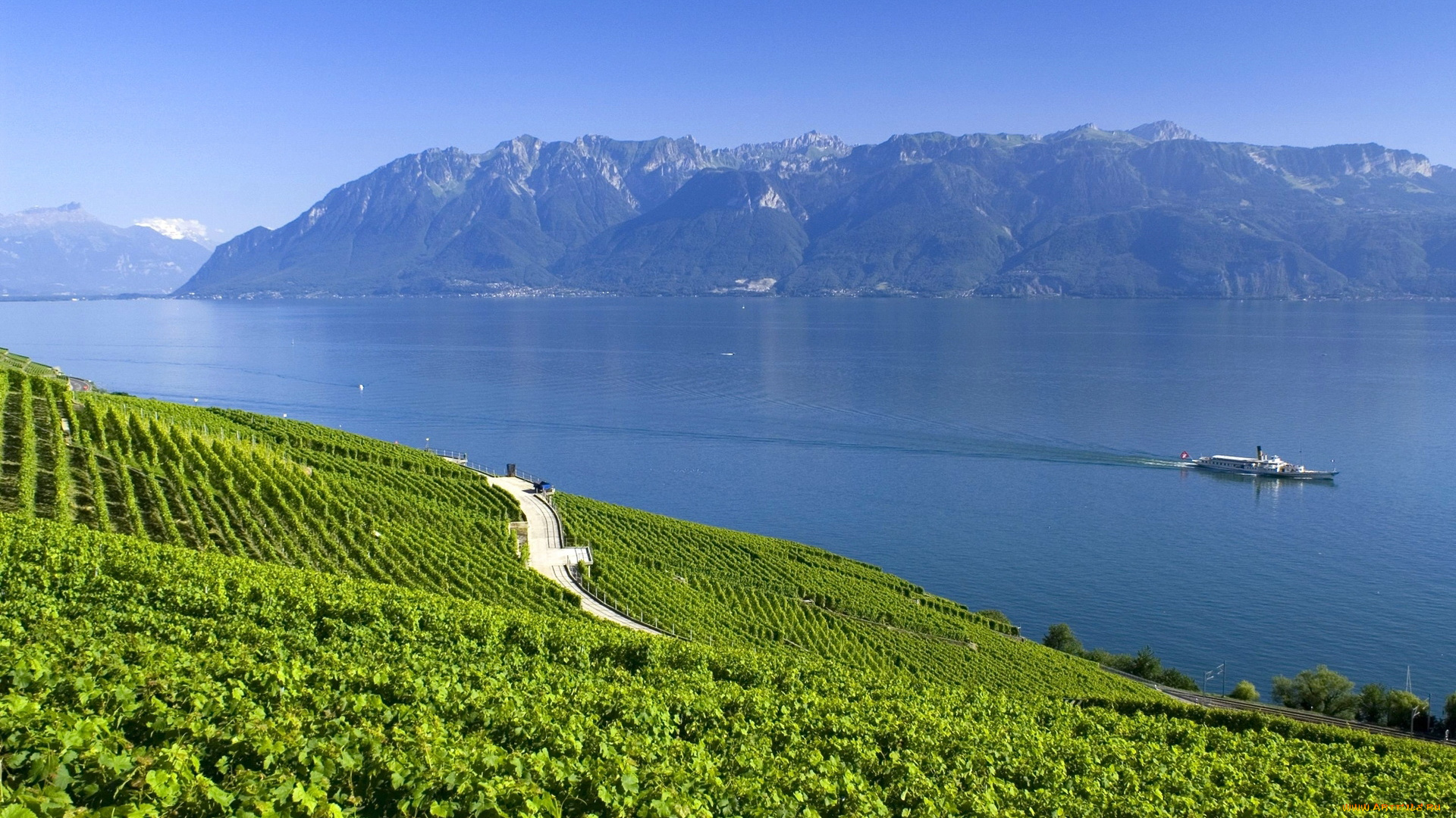 природа, реки, озера, виноградники, дорога, озеро, горы, облака