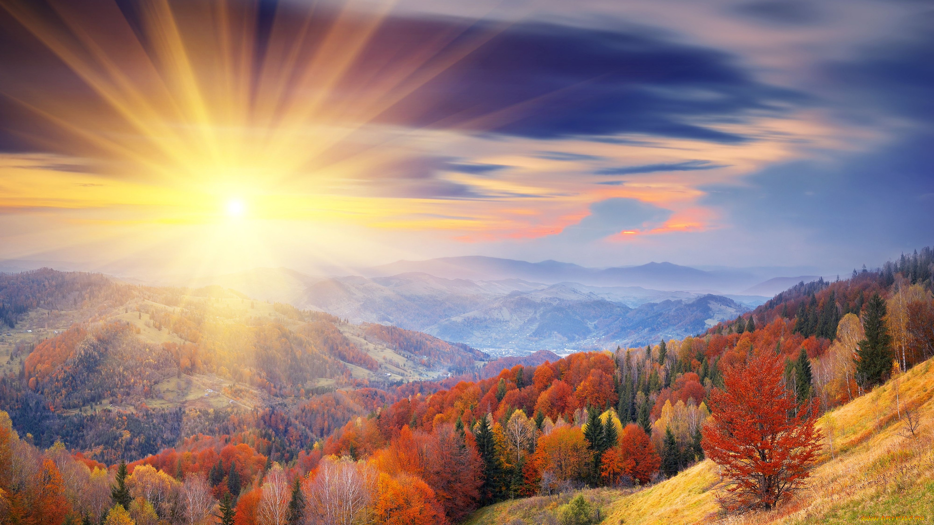 природа, восходы, закаты, осень, восход, лес, пейзаж, деревья, горы