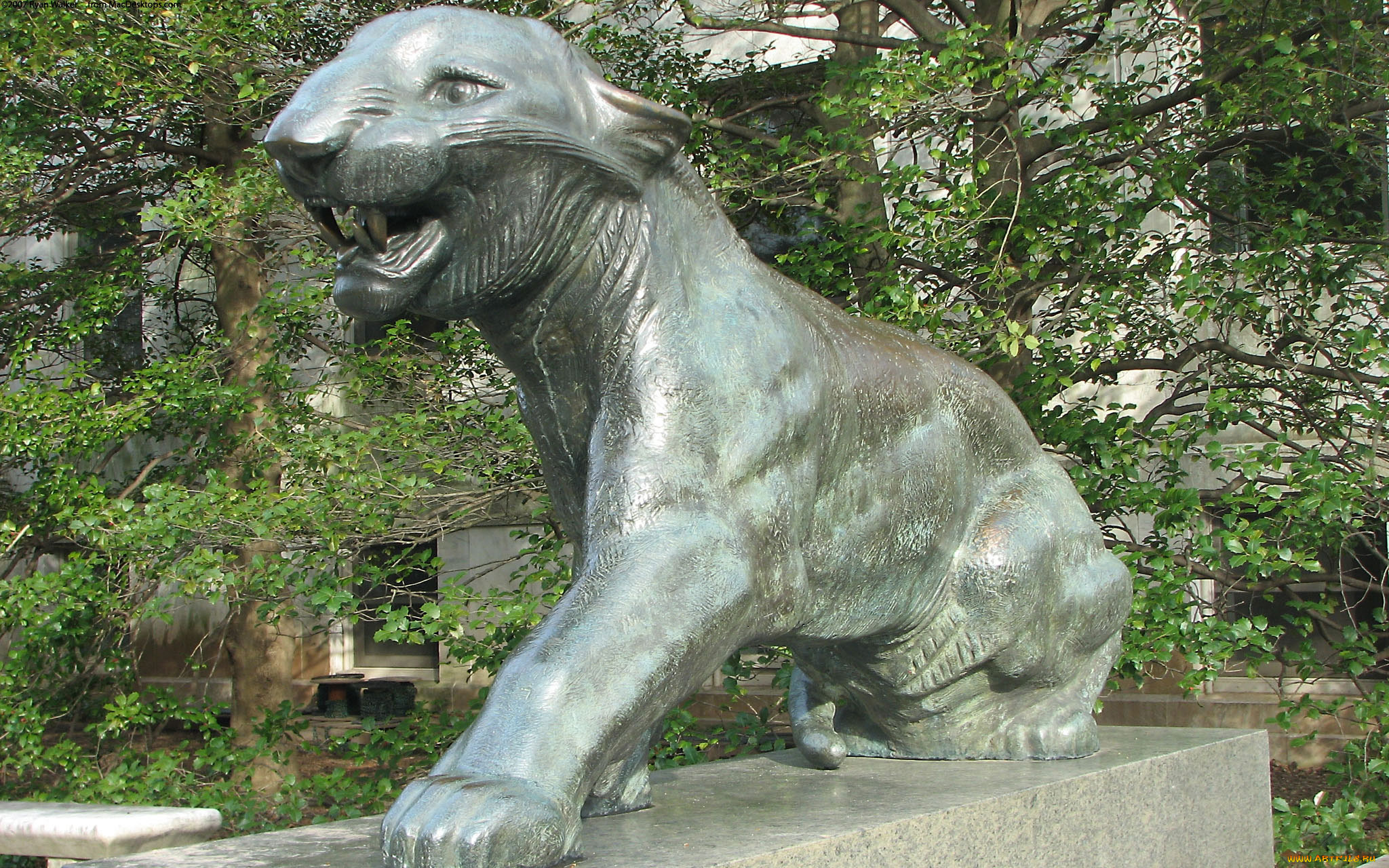 разное, рельефы, статуи, музейные, экспонаты, скульптура